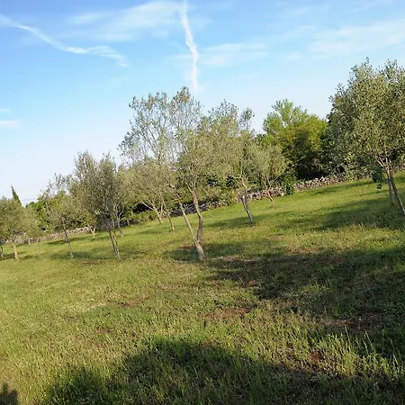 Holiday home Dioniza Vodnjan